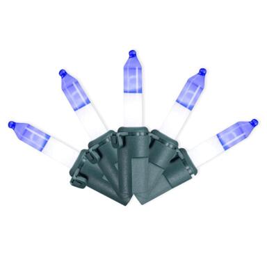 Lghts Tw-tn Blu/wht 70ct