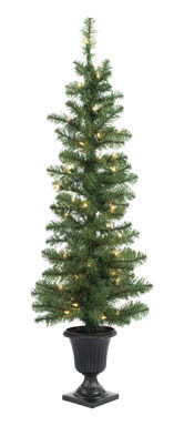 TREE 2PK STOWE 4' CLR