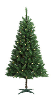 Tree Clmbs 6' 100l Led Wm Wht