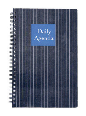 MEAD DAILY PLANNER