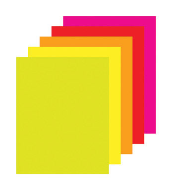 Posterboard 11x14 Floure