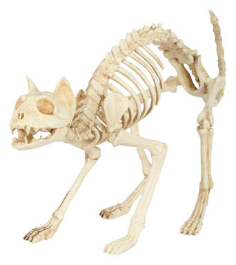 SKELETON CAT P-N-S 18"