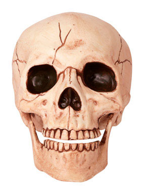 MEDIUM SKULL MOVING JAW