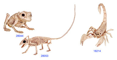 MINI SKELETON ASSORTD