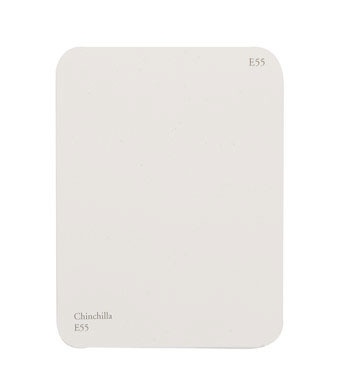 CHIP STRIP E55 PK15
