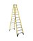Ladder Step Fg 1aa 12'