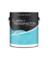 C+K CEILING P&P FLTWHT1G