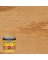 Minwax Wood Finish Semi-Transparent Golden Pecan Oil-Based Penetrating Wood Stain 0.5 pt