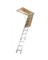 ATC LADDER AL10FT