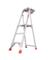 STP LADDER TYP AL 1AA 5'