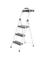 STEP LDR ST TYPEII 4.28'