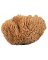 SPONGE NAT SEAWOOL 8-9"
