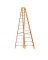 Ladder Fibrglass 12'1a