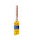 Purdy Pro-Extra Glide 2 in. Angle Paint Brush