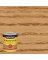 Minwax Wood Finish Semi-Transparent Golden Oak Oil-Based Penetrating Wood Stain 1 qt