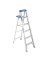 Step Ladder 6'alumtype1