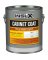 CABINET COAT TINT S/G 1G