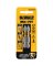 DEWALT SCRWDRVR BIT PH #1 2PK