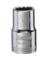 SCKT1/2" DR 1/2" 12PT