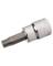 BIT SOCKET T47X3/8" SAE