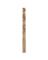 Drill Bit Cblt 21/64"