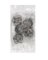 DIE HEX 1"1/8-27NPT BULK