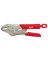Milwaukee Torque Lock 10 in. Forged Alloy Steel Curved Jaw Locking Pliers
