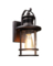 SMART SECURTY LIGHT BLK