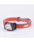 LED RCHRG HEADLAMP 250L