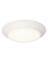 15W LED WHITE FLUSH MNT LIGHTd