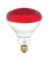 INCAND BULB 250W E26