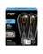 Ft Led St19 Dl 60w 2pk
