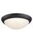 LED CLNG LGT FXTR BK BRZ