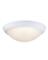 Led Clng Lght Fxtr Wht