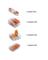 40PK Clamp Wire Connector
