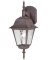 Westinghouse Patina Incandescent Wall Lantern