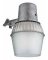 FLUORSCNT AREA LIGHT 65W