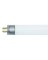 FLUORESCENT BULB 21WT5