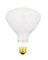 BULB POOL BR40 300W FL