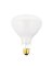 BULB POOL BR40 500W 130V