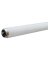 BULB-FLUR T8 ECO SP41 8'
