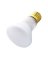 Bulb Spot R20 30w