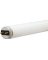 LFL 32W 48" T8 CW PRO