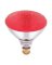Westinghouse 100 W E26 Reflector Incandescent Bulb E26 (Medium) Red 1 pk