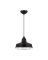 LED INDR LITE PENDNT BLK