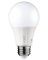 ELEMENT BULB CL A19