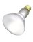 65W BR30 REFLECTOR FLOOD BULB