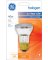 BULB HLGN FLD PAR16 40W