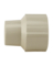 1/2" CPVC Female Adapter