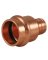 3/4" PEX ADAPTER COPPER PRESS